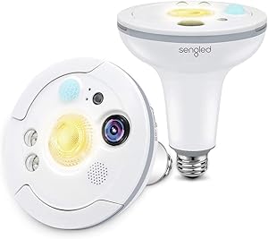 Sengled Snap Floodlight Security Camera Review
