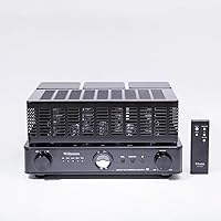 Willsenton R8 KT88/EL34 Tube Amplifier — image 3