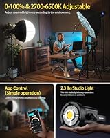 RALENO PLV-C80 LED Video Light — image 3