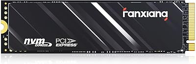 fanxiang S501Q 512GB NVMe SSD
