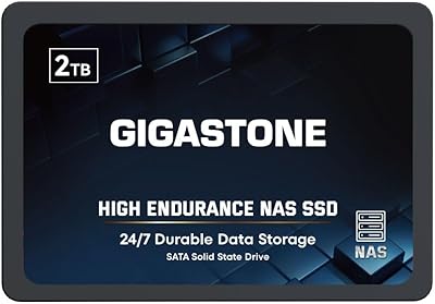 Gigastone 2TB NAS SSD Drive