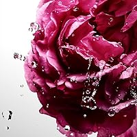 Davidoff Cool Water Sea Rose Eau de Toilette 30mL — image 3