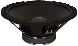 Goldwood GW-1248 12″ Woofer 290 Watt 8ohm Replacement Subwoofer Speaker Review