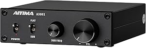 AIYIMA A3001 Mini Mono Amp 300W Subwoofer Amplifier Review