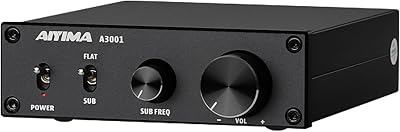 AIYIMA A3001