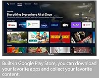 SYLVOX 75" PoolPro Series Outdoor Smart TV — image 2