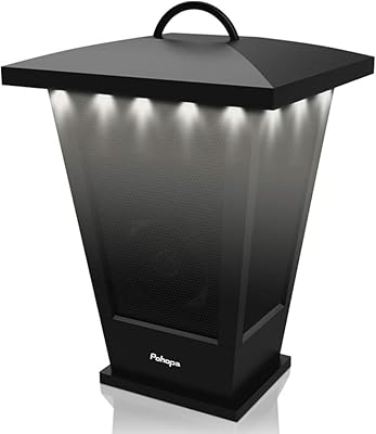 Pohopa B210D Bluetooth Speaker