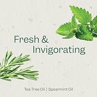 RENPURE Tea Tree & Mint Body Wash 2-Pack — image 4