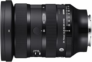 Sigma 24-70mm F2.8 DG DN II ART Lens for Sony E Review