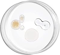 The Ordinary The Bright Set — image 5