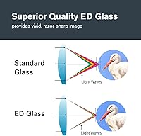 Celestron Nature DX ED 8x42 Binoculars — image 3