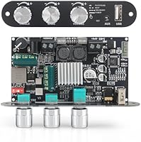 Wuzhi Audio ZK-1001U Mono Amplifier Board — image 1