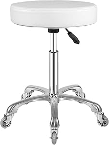 Ainilaily Rolling Stool with Wheels Review