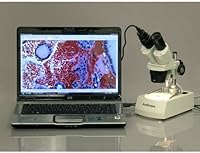 AmScope SE306R-PZ-LED Stereo Microscope — image 2