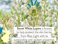 Babo Botanicals Daily Sheer Tinted Mineral Sunscreen SPF 50 — image 5