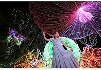 Canon RF15-30mm F4.5-6.3 IS STM Lens — image 2