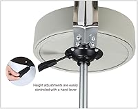 Kaleurrier Swivel Stool Chair with Back Rest (Grey) — image 8