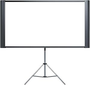 Epson Duet 80-Inch Dual Aspect Ratio Projection Screen Review