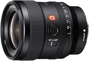 Sony E-mount FE 24mm F1.4 GM Lens Review