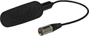 Panasonic AGMC200G Unidirectional Microphone Review
