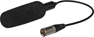 Panasonic AGMC200G Unidirectional Microphone