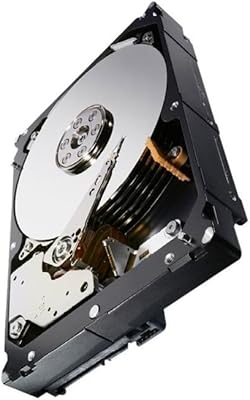 Seagate Constellation ES 4TB 7200RPM 6Gb/s SAS Internal Hard Drive