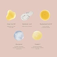 Jouer Essential High Coverage Concealer Pen - 01 Snow — image 5