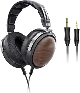 FiiO FT1 32Ω Large Dynamic Driver Headphones Review