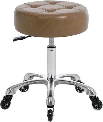 FRNIAMC Professional Rolling Salon Stool