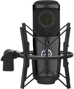 Senal SCM-660 Large-Diaphragm Multi-Pattern Condenser Microphone Review
