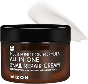 MIZON AllinOne Snail Repair Cream 120mL Review