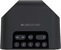 Bluesound Pulse Flex 2i Portable Wireless Speaker — image 2