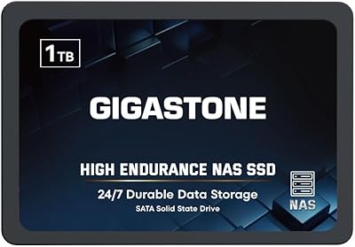 Gigastone 1TB NAS SSD