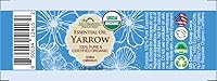 US Organic Yarrow Essential Oil 5ml — image 2