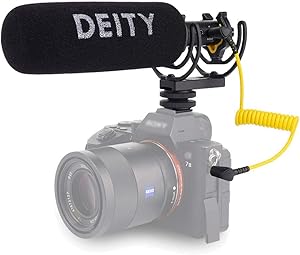 Deity V-Mic D4 Duo Review