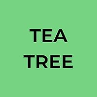 Soapbox Tea Tree Shampoo and Conditioner Set, 1L Each — image 9