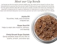 Sara Happ Brown Sugar Lip Scrub 0.5oz — image 3