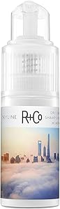 R+Co Skyline Dry Shampoo Powder 1 Fl Oz Review