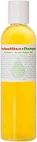 Living Libations Organic Seabuckthorn Shampoo 4 fl oz — image 1