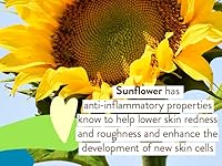 Babo Botanicals Super Shield Mineral Sunscreen Spray SPF 50 — image 6