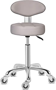 Kaleurrier Swivel Stool Chair with Back Rest (Grey) Review