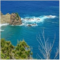 Tamron 50-400mm f/4.5-6.3 Di III VC VXD Lens — image 2