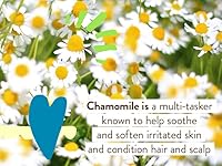 Babo Botanicals Super Shield Mineral Sunscreen Spray SPF 50 — image 7