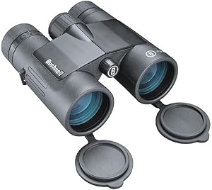 Bushnell Prime 10x42 Binoculars Review