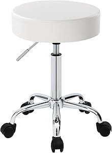 DUHOME 410 Height Adjustable Swivel Rolling Chair Review