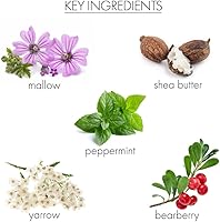 Whish Coconut Milk & Verbena CC Body Cream 5 fl oz — image 4