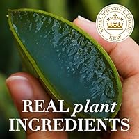 Herbal Essences Bio: Renew Mango + Potent Aloe Shampoo 13.5oz — image 5