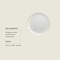 Aesop Shampoo & Conditioner Set 16.9 oz — image 3