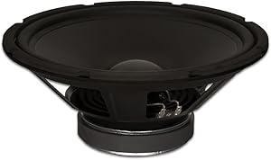 Goldwood GW-1244 12″ Woofer 290 Watt 4ohm Replacement Subwoofer Review
