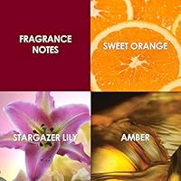 Britney Spears Hidden Fantasy Eau De Parfum 3.3oz — image 3